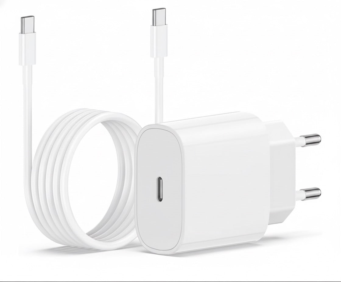Fast charger